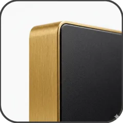 Gold bezel