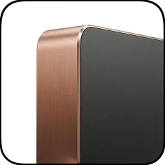Rose Gold bezel